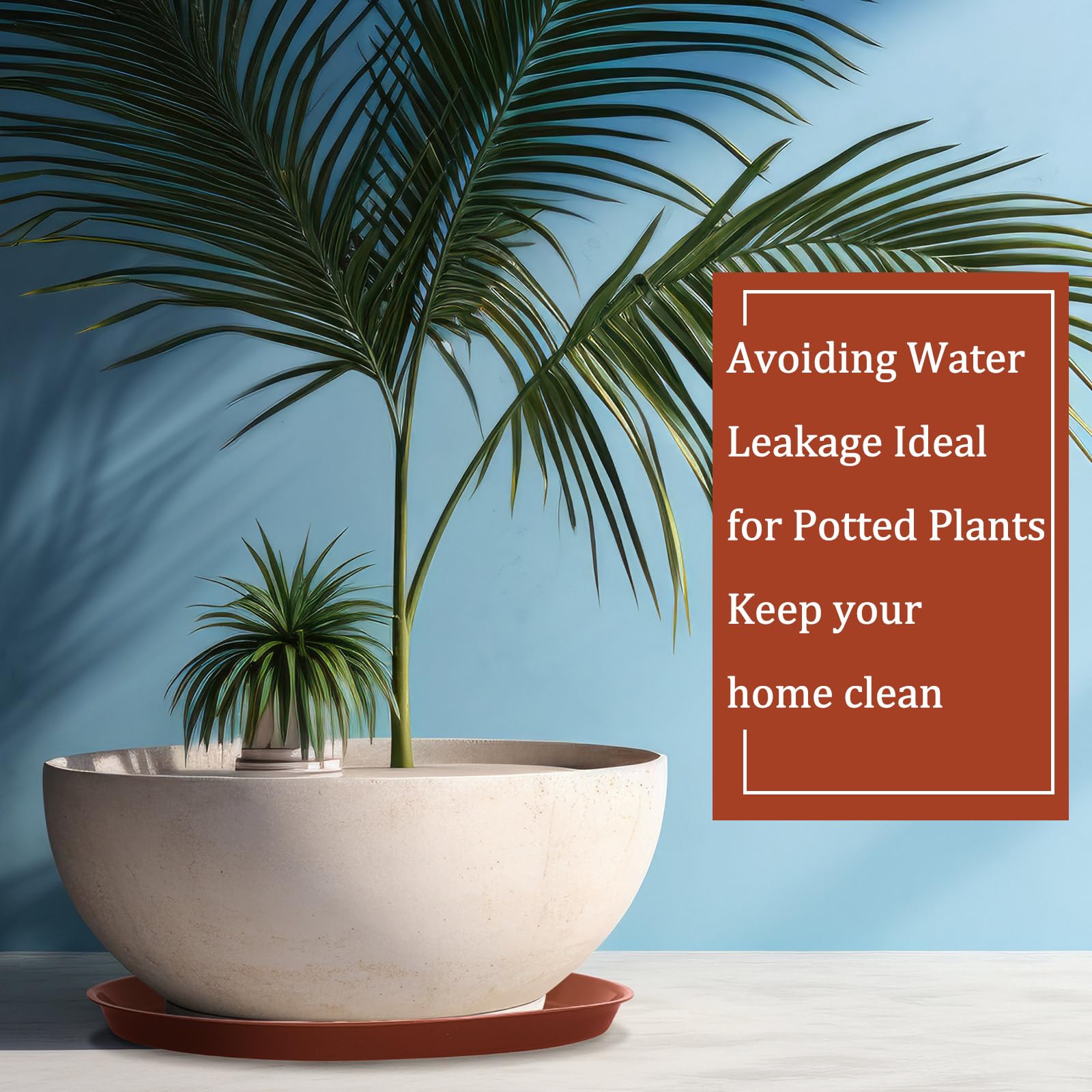 Eccliy saucer used as bird bath outdoors, versatile garden benefit