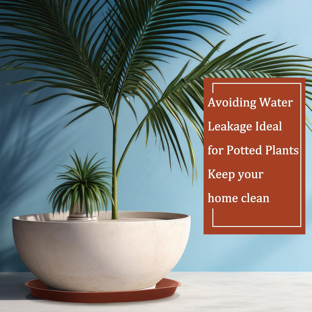 Eccliy saucer used as bird bath outdoors, versatile garden benefit