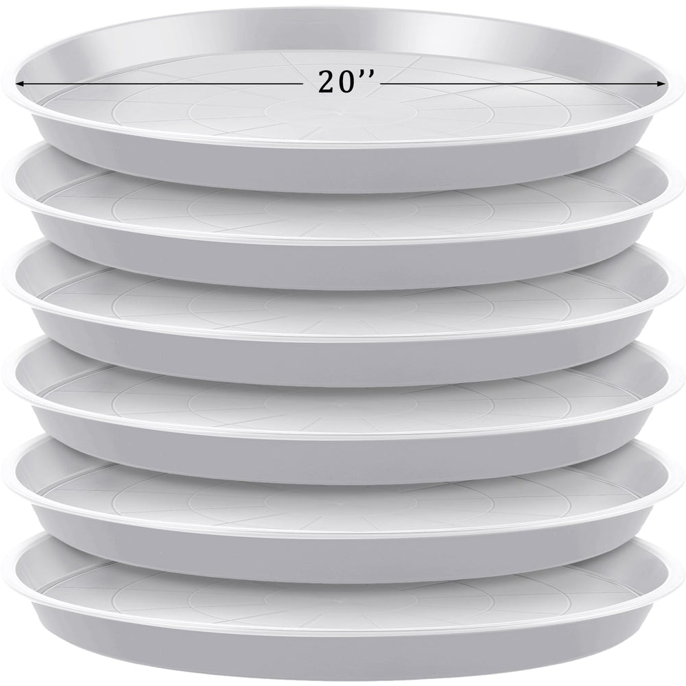 Eccliy front view of six large saucers showing clean design and utility