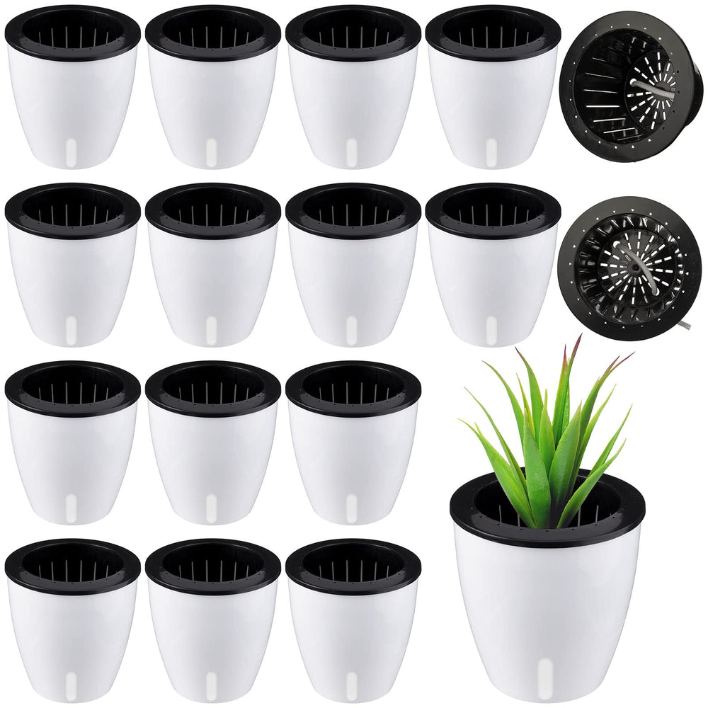 Eccliy front view showing 14 white violet self-watering pots for neat displays