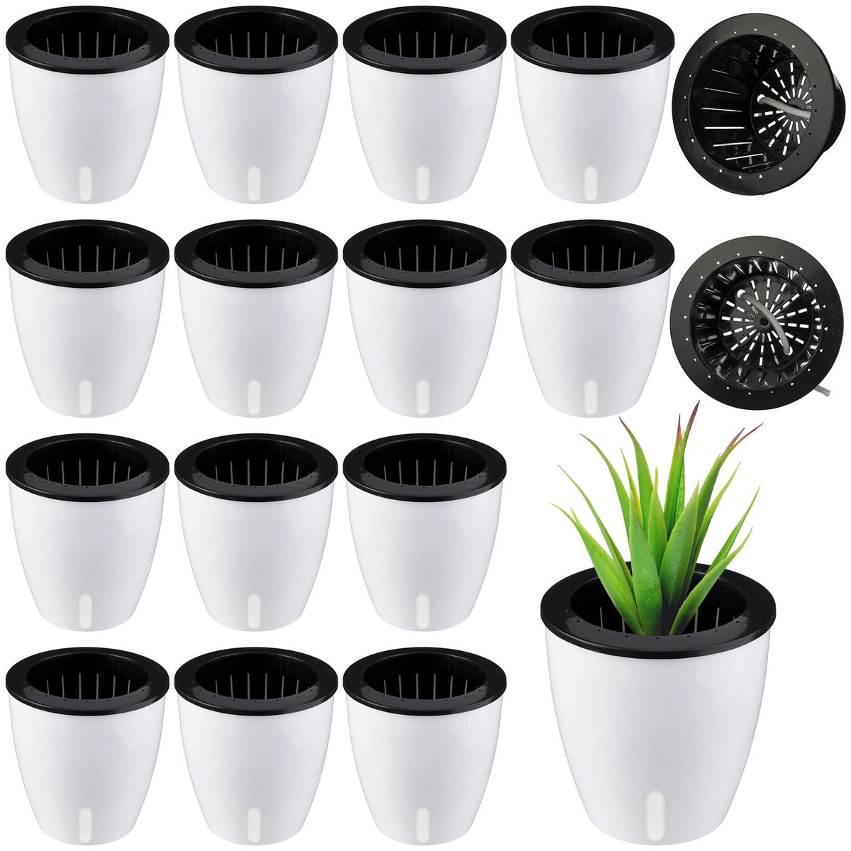 Eccliy front view showing 14 white violet self-watering pots for neat displays