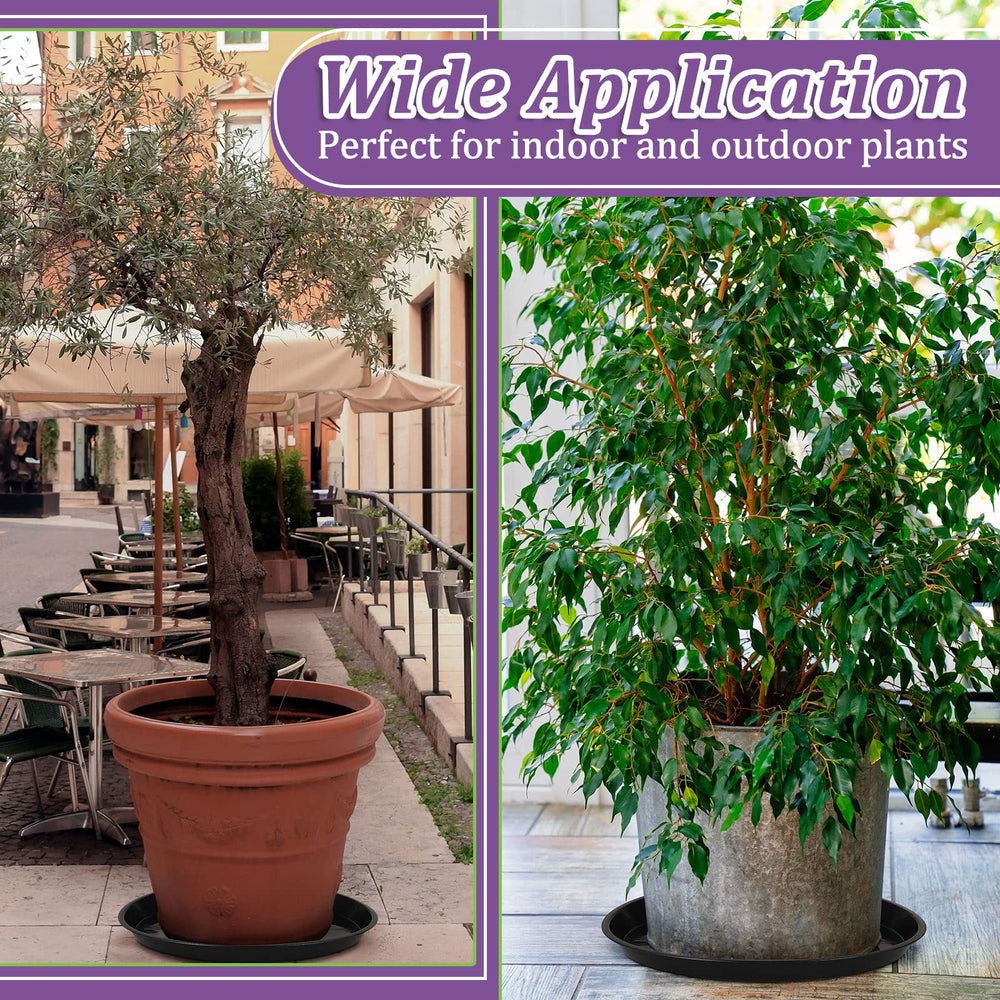 Eccliy outdoor balcony scene with saucers and plants showing protective use
