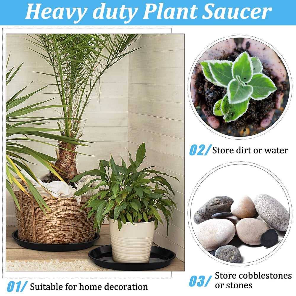 Eccliy saucer on patio holding potted plant and shielding deck surface