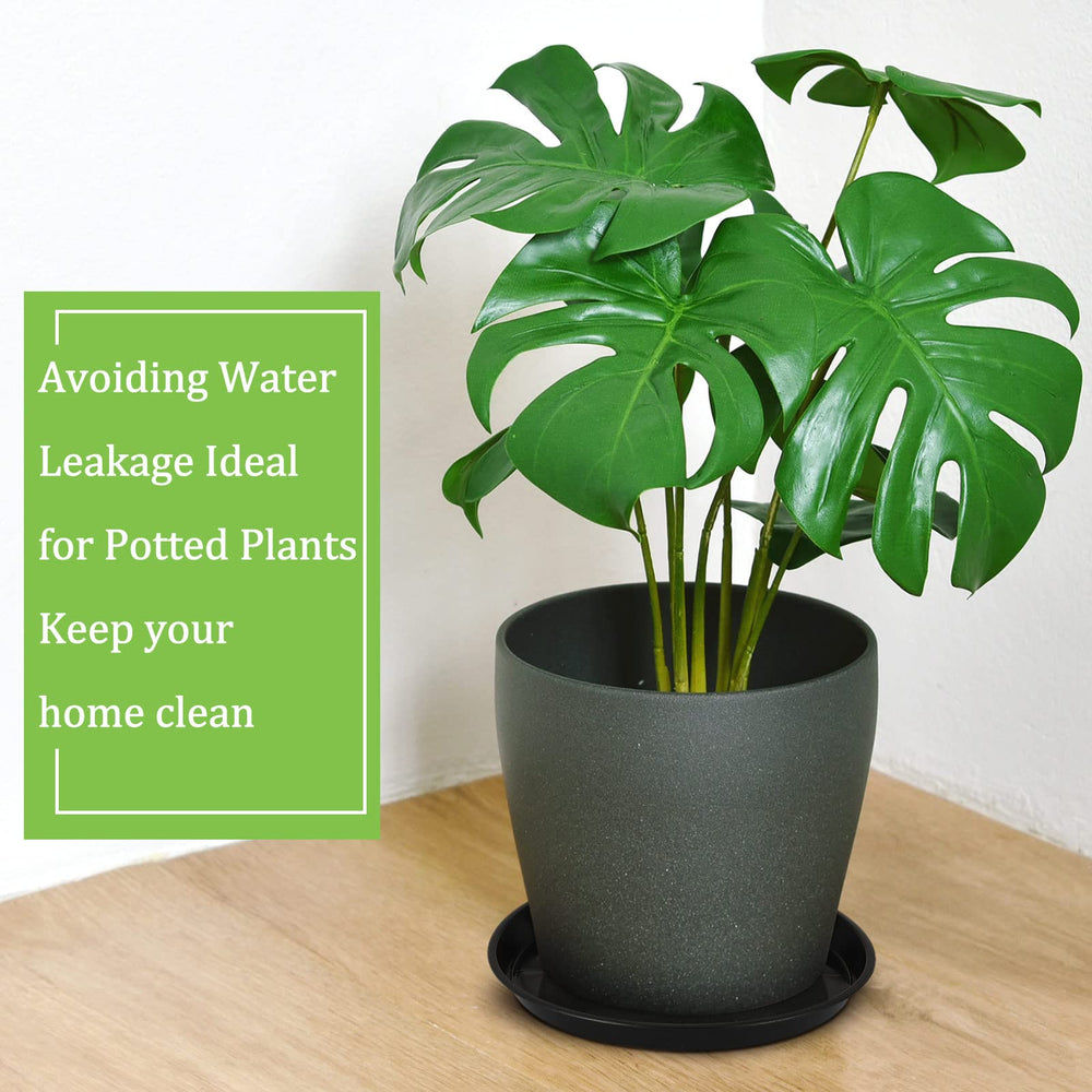 Eccliy saucer on patio protecting decking and enhancing plants