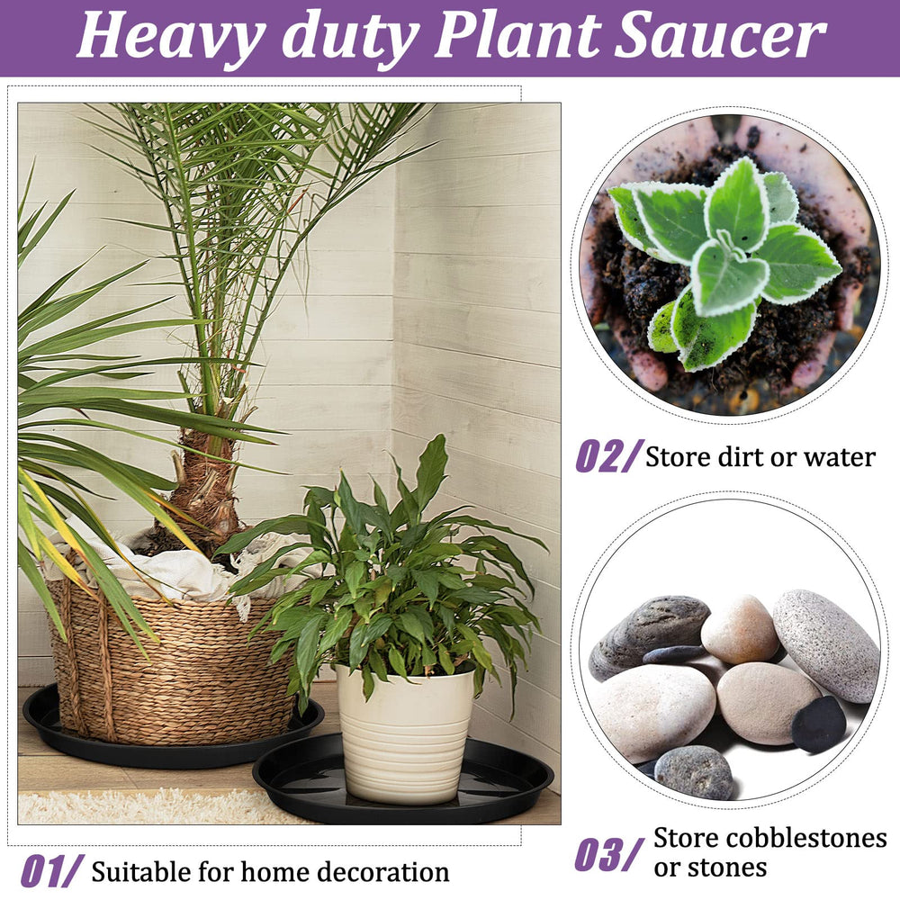 Eccliy tray collecting excess water under a pot illustrating leak protection