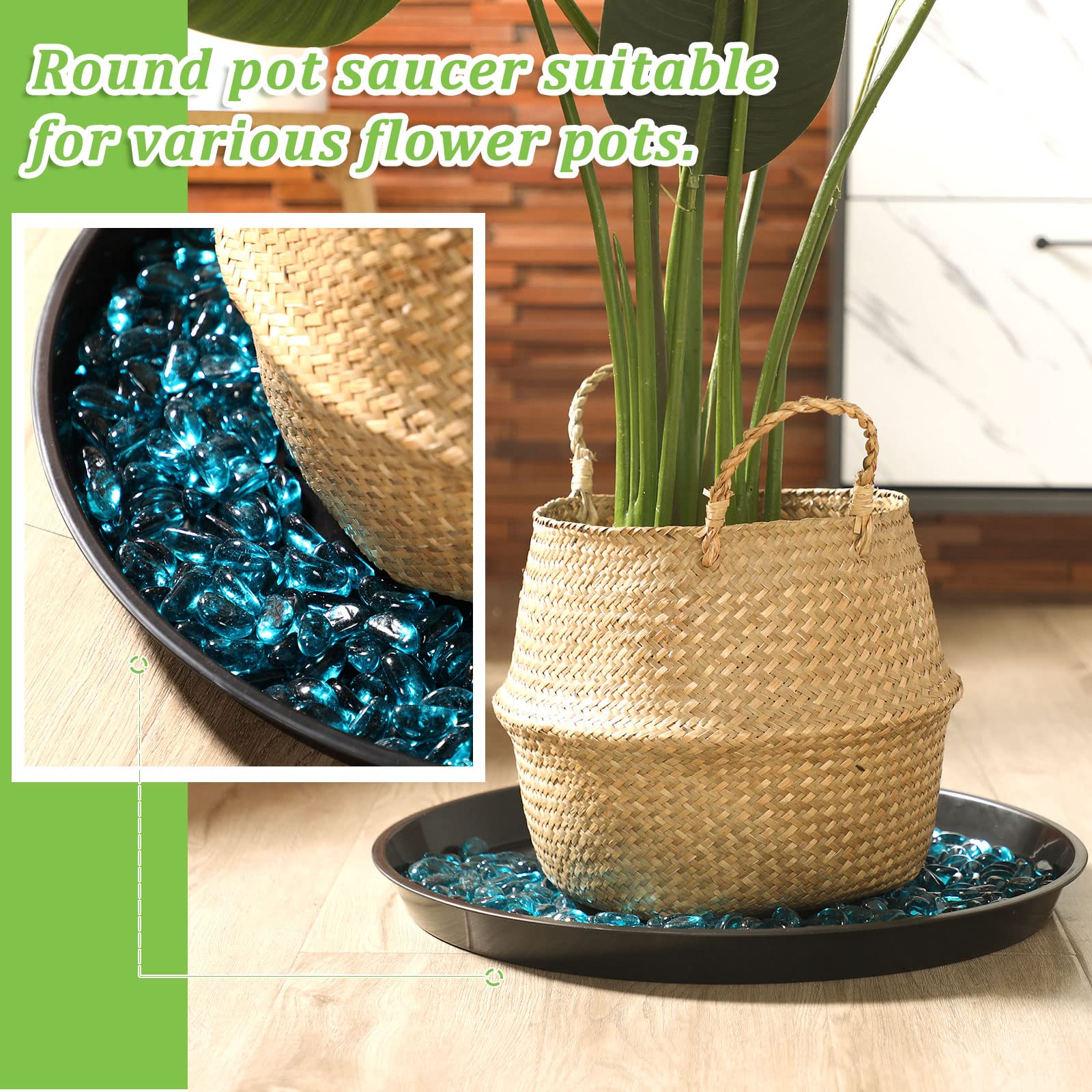 Eccliy black saucer styled on a windowsill with plants, adding tidy decor and water control