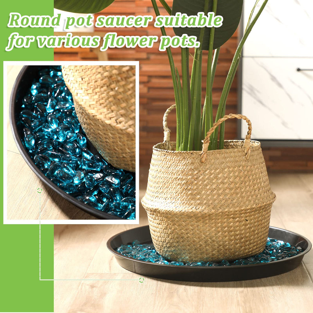 Eccliy black saucer styled on a windowsill with plants, adding tidy decor and water control