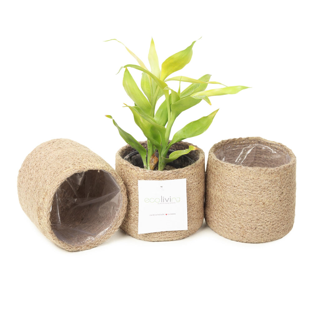 Eco Living jute pot cover front view showing natural finish and rustic charm