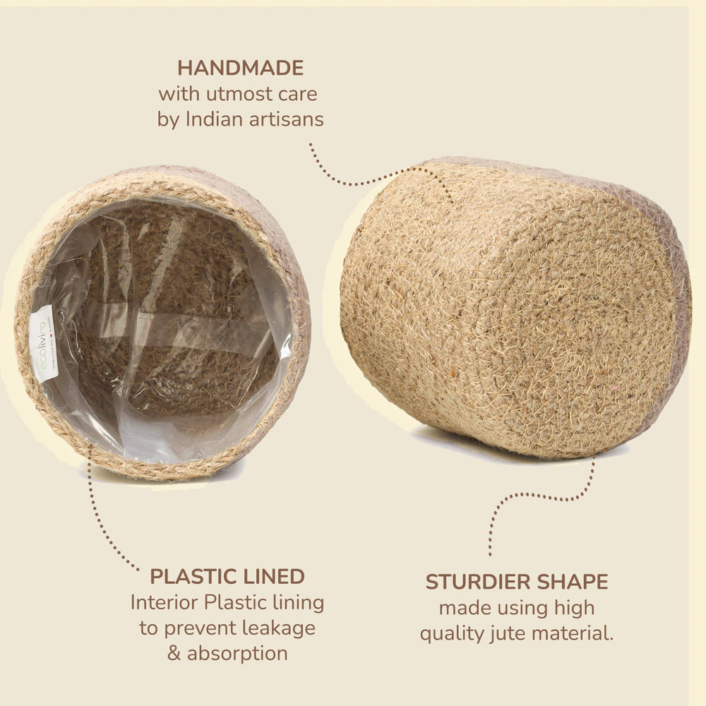 Eco Living cover next to a hand for scale illustrating the small 4 inch fit