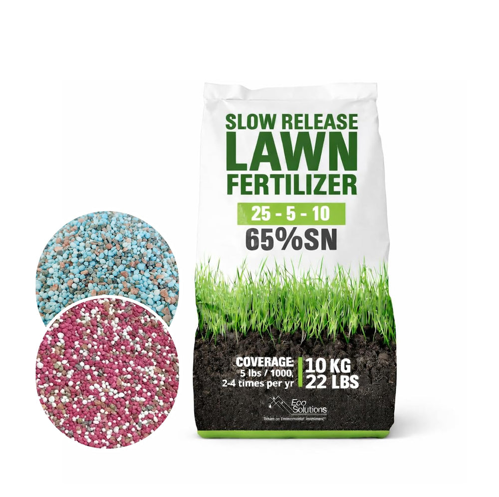 Eco Solutions family and pet on lawn indicating safe, healthy yard use
