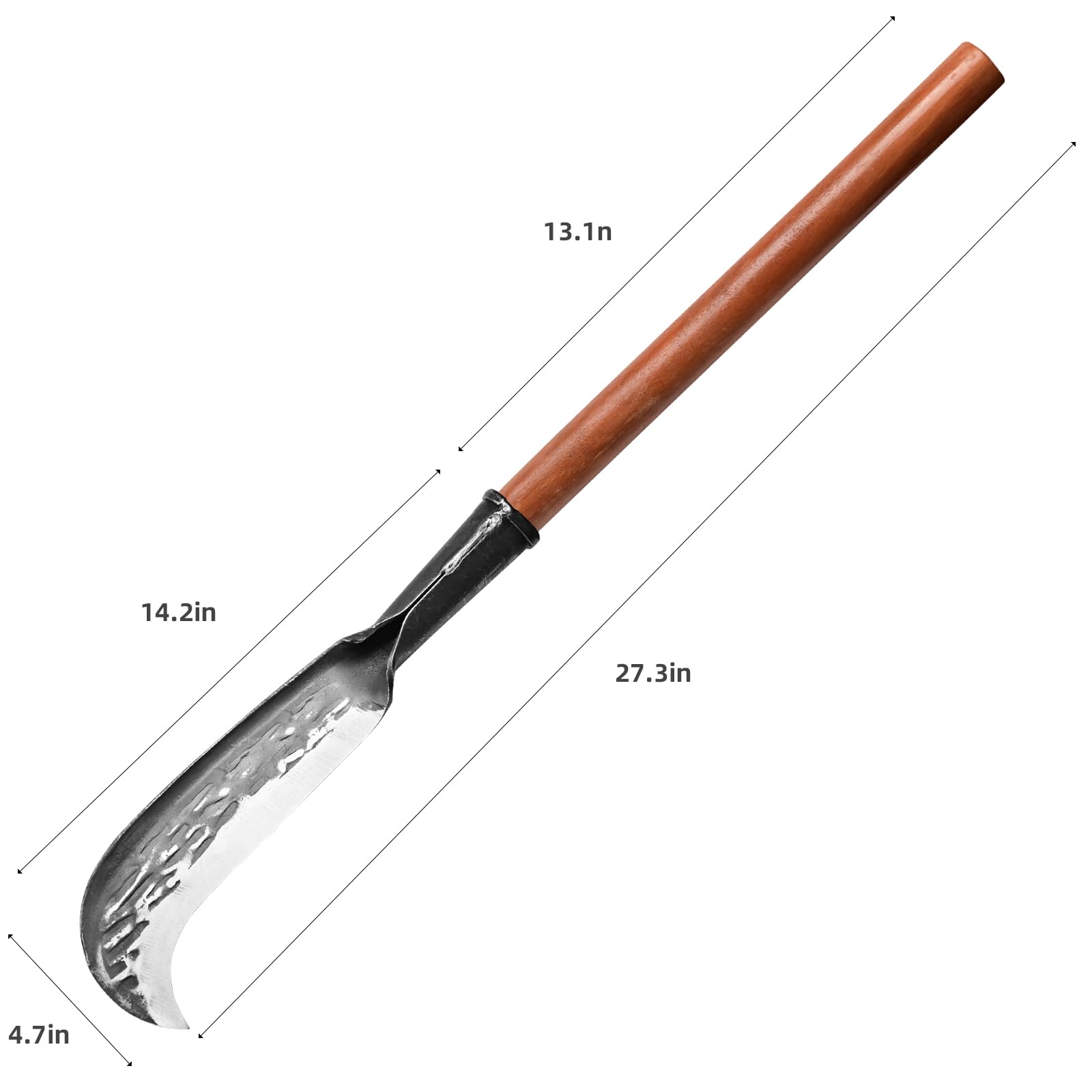 EcoDigiLife close-up of sharpened edge showing polished finish and durable steel