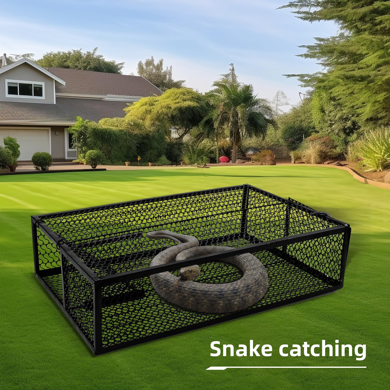 EcoDigiLife trap size comparison beside ruler to show capacity up to six-foot snakes