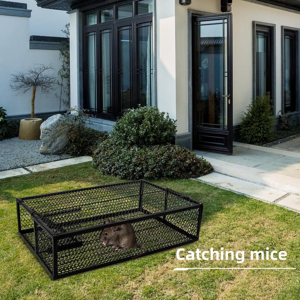 EcoDigiLife trap stacked in storage highlighting compact, reusable design for homeowners