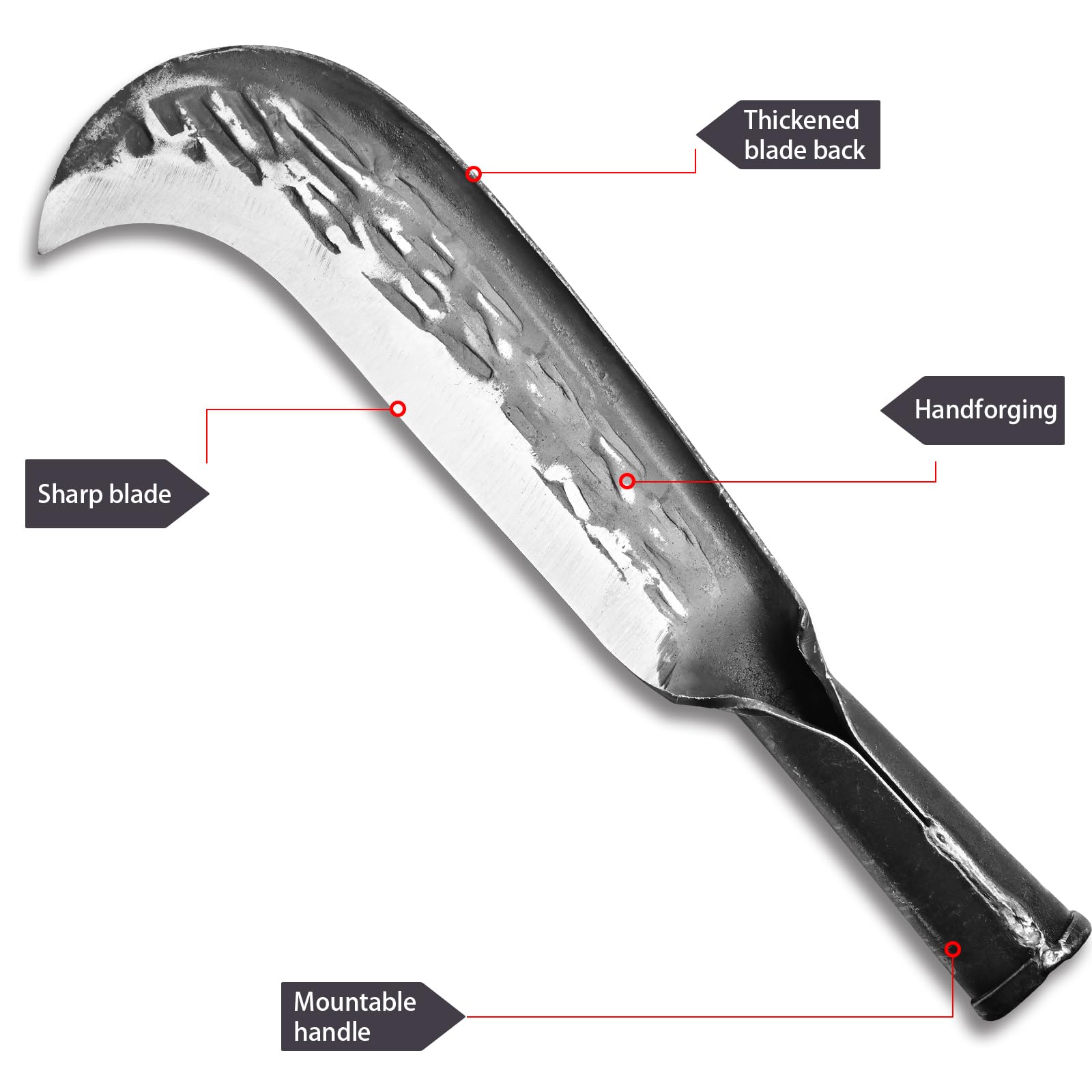 EcoDigiLife thick spine detail demonstrating 6.5mm strength for chopping power