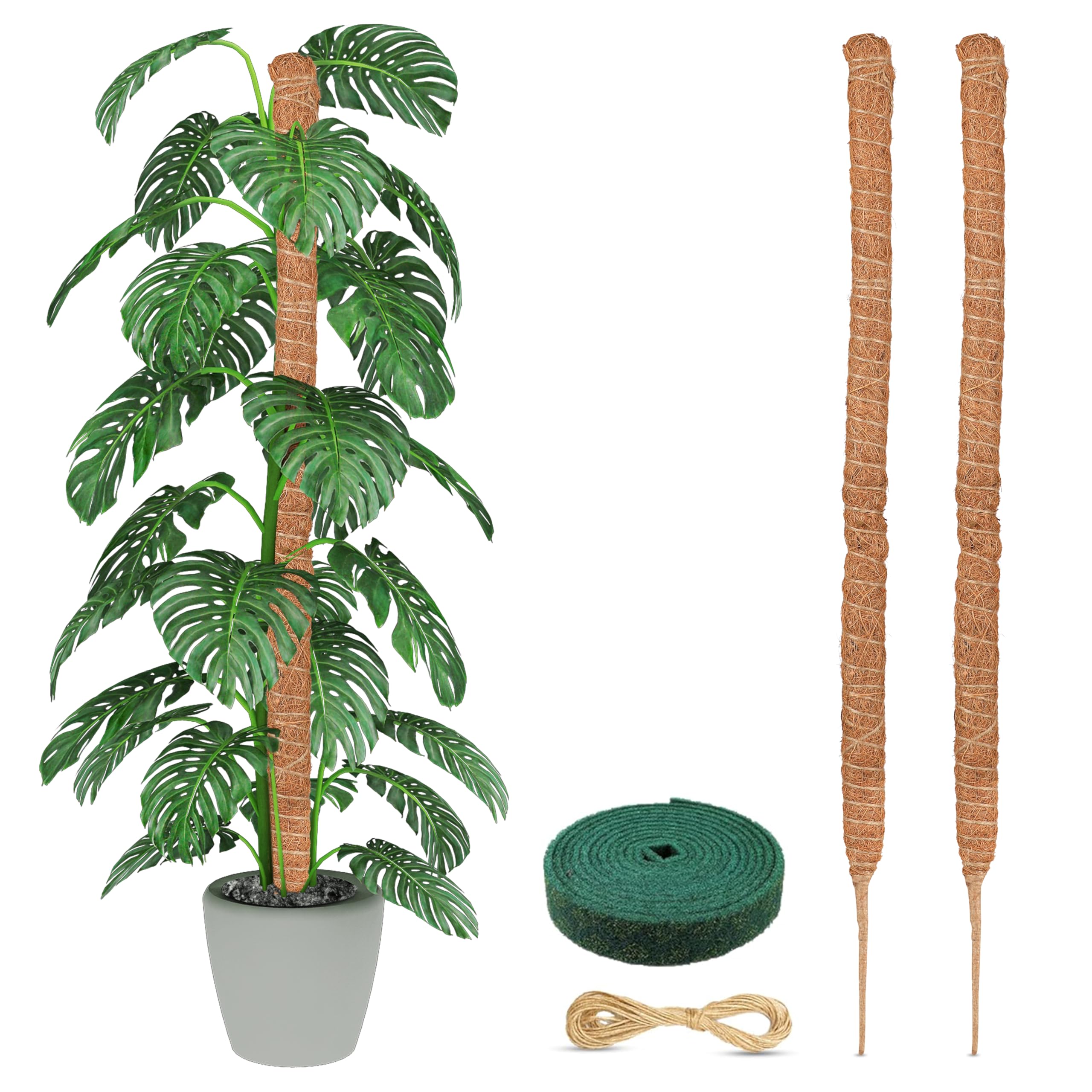 EcoNour 63-inch moss pole 2-pack front view showing full height and packaging benefit