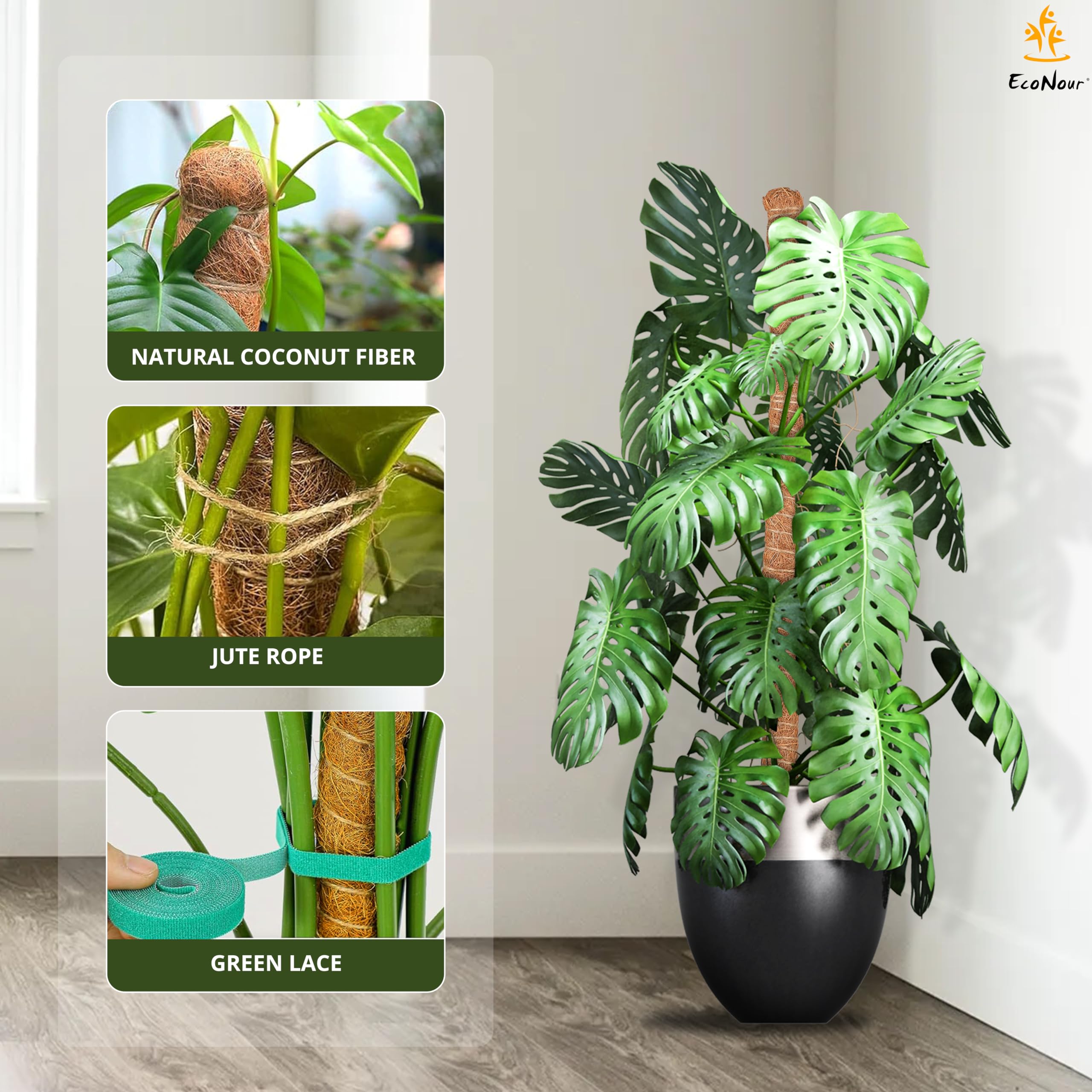 EcoNour moss pole in a bright window setting enhancing plant display and saving space