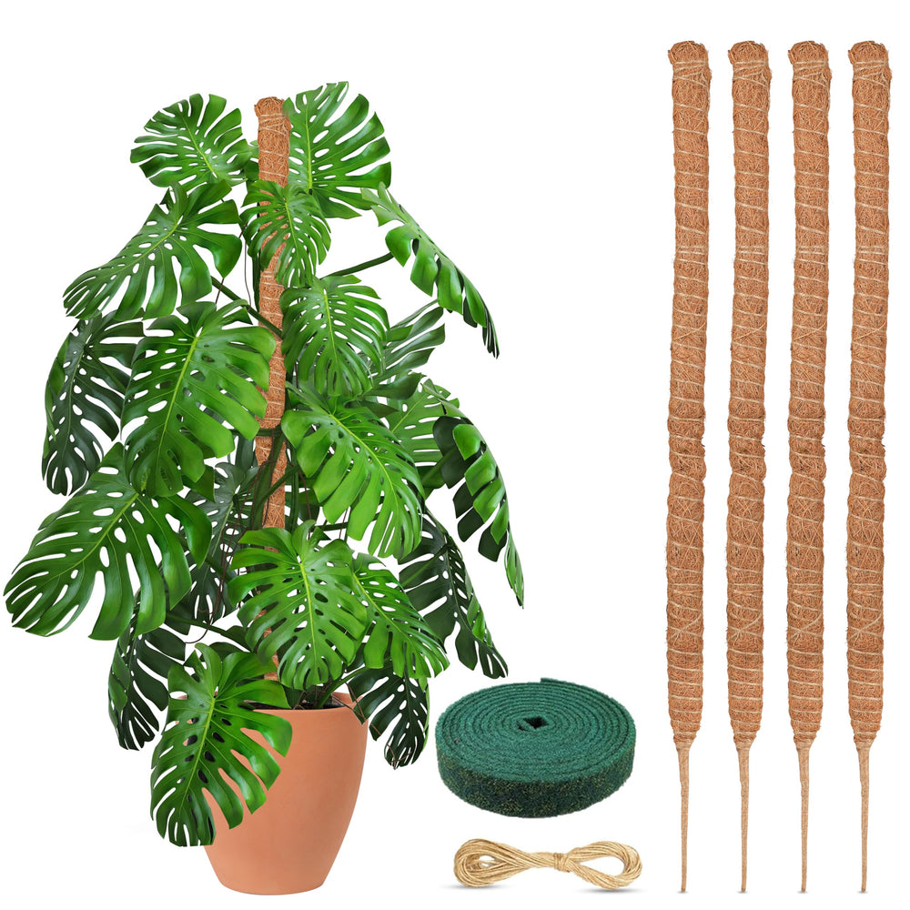 EcoNour moss pole front packaging showing four poles and benefits