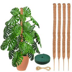 EcoNour moss pole front packaging showing four poles and benefits