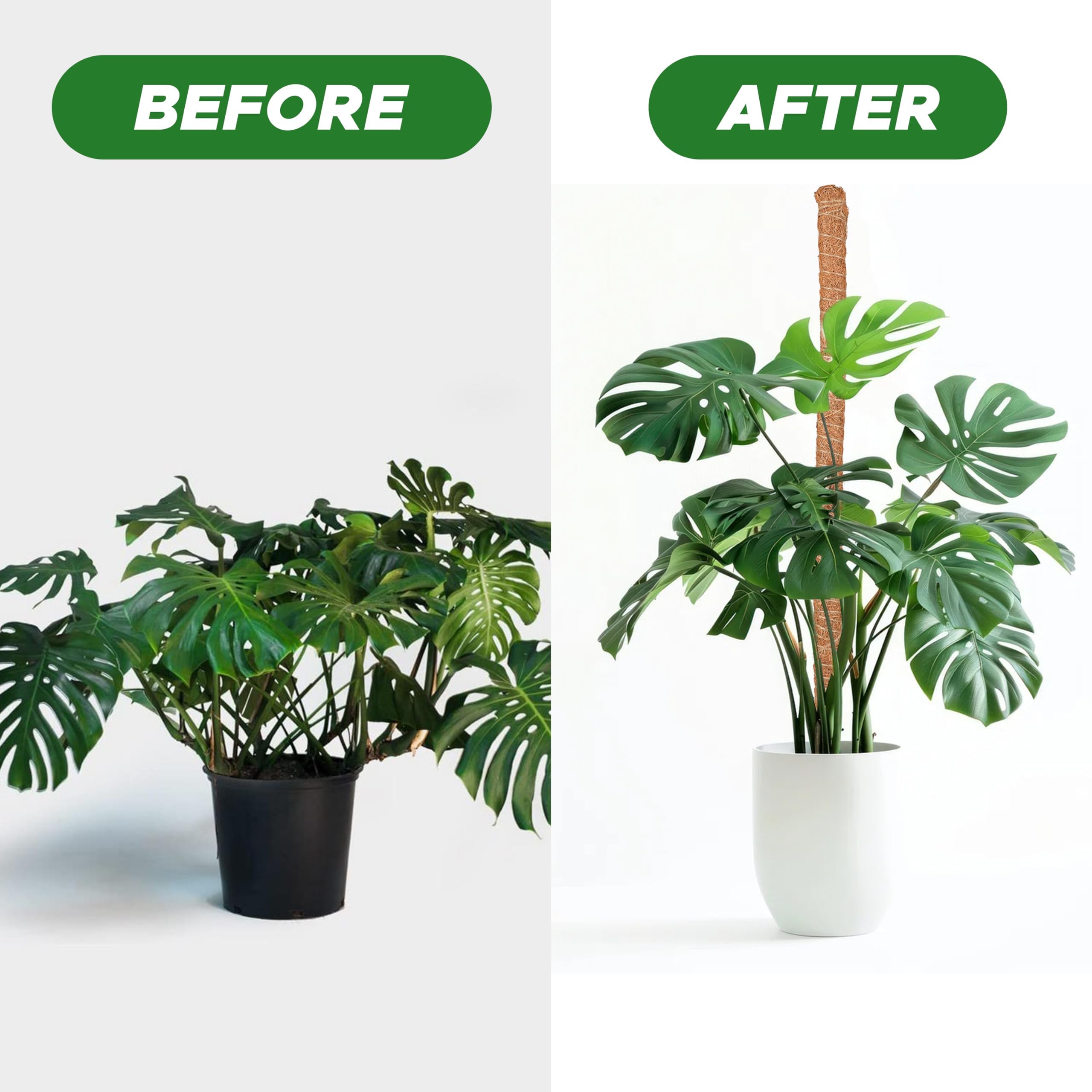 EcoNour pole on shelf with plants showcasing vertical space saving