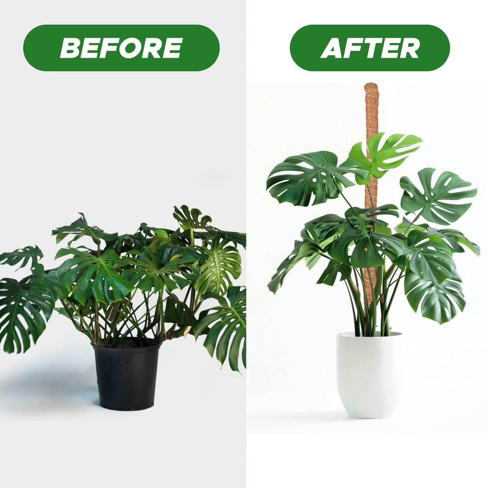 EcoNour pole on shelf with plants showcasing vertical space saving