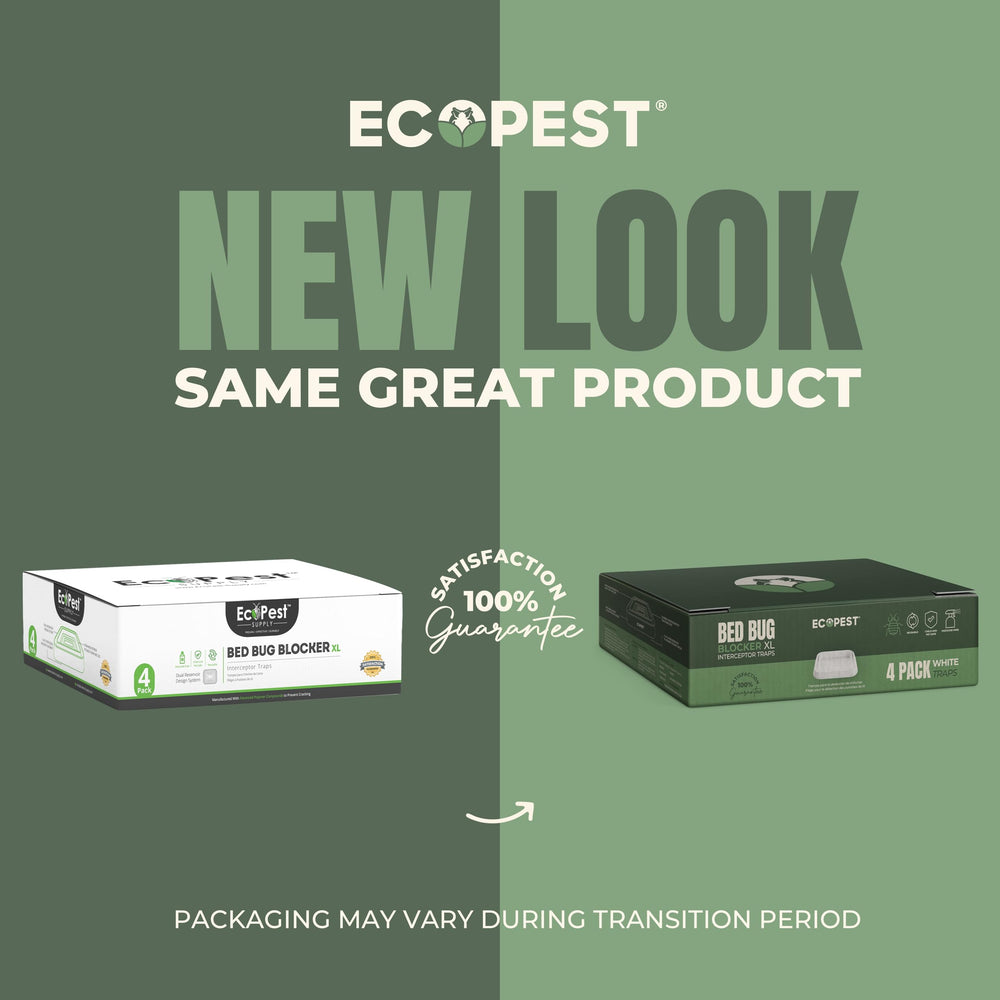 ECOPEST interceptor placed under a bed leg demonstrating hands-off 24/7 monitoring benefit