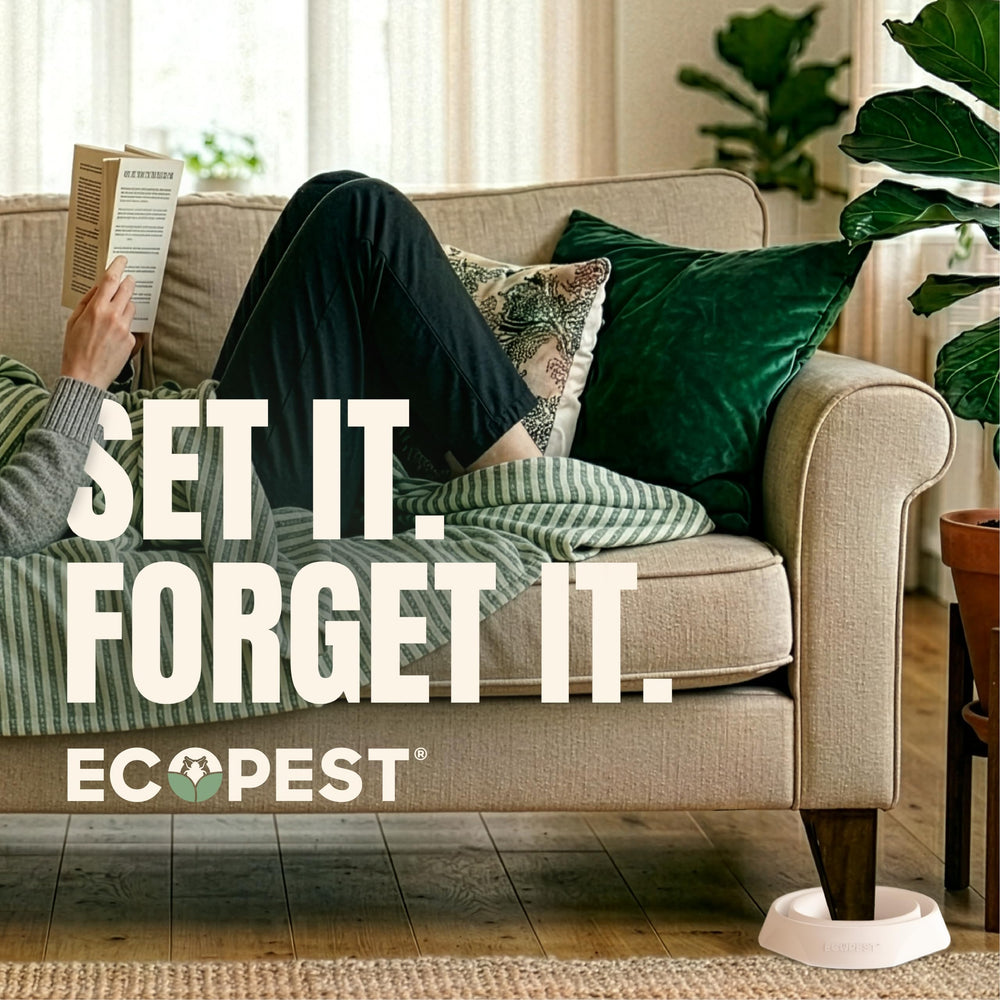 ECOPEST interceptor in hotel room demonstrating hospitality-grade monitoring
