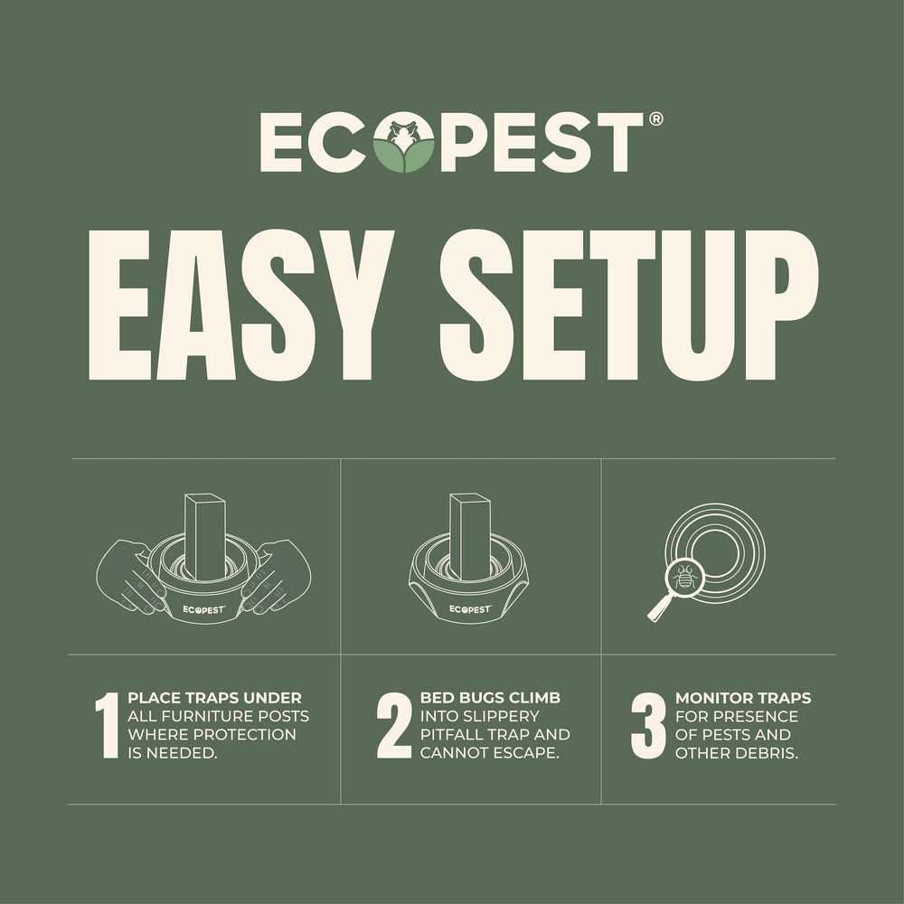 ECOPEST trap beside ruler showing size for correct placement and easy fit
