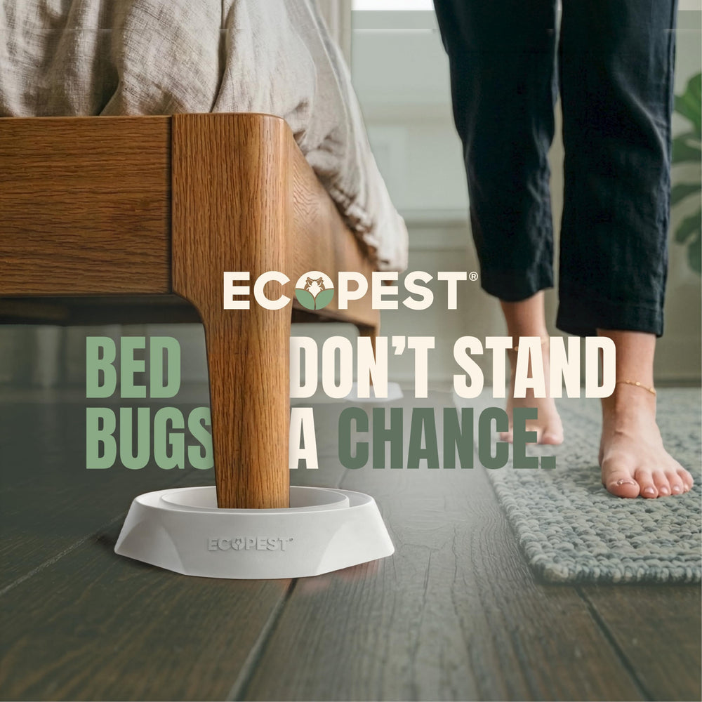 ECOPEST interceptor positioned under a bed leg for continuous monitoring