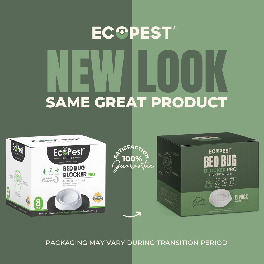 ECOPEST multiple traps lined under mattress frame for full coverage