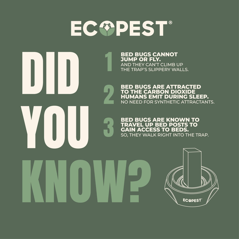 ECOPEST cleaned interceptor drying ready for reuse and reliable results
