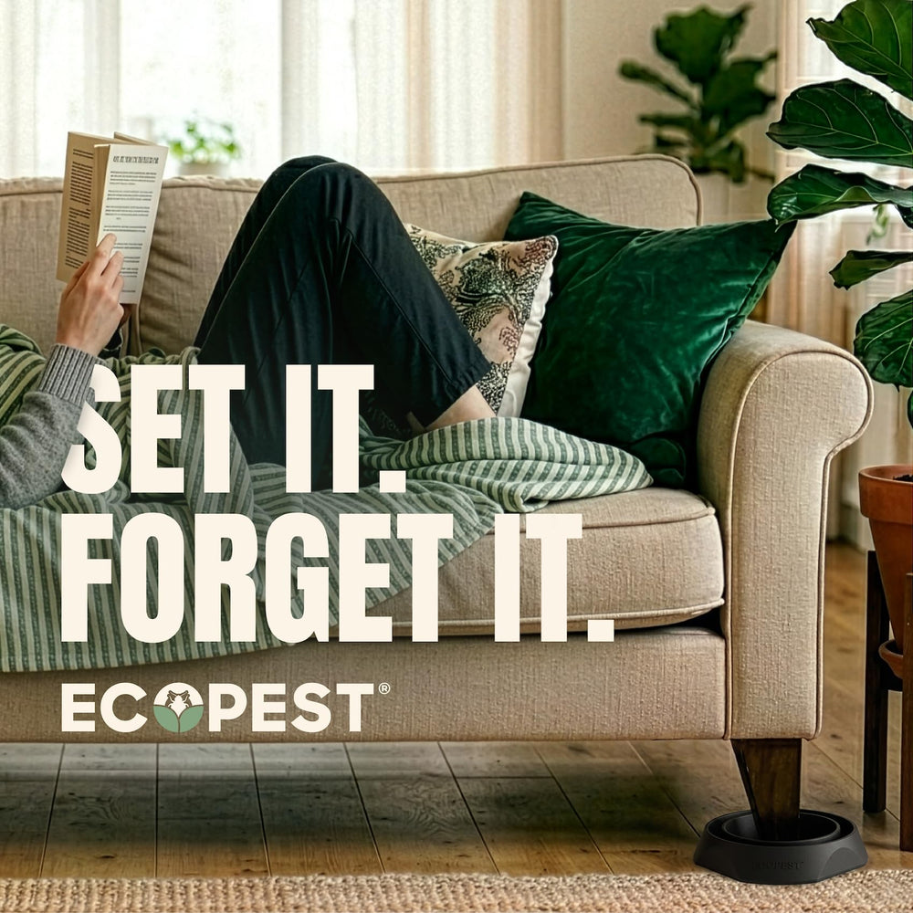 ECOPEST XL trap with a wooden bed post illustrating secure fit and detection