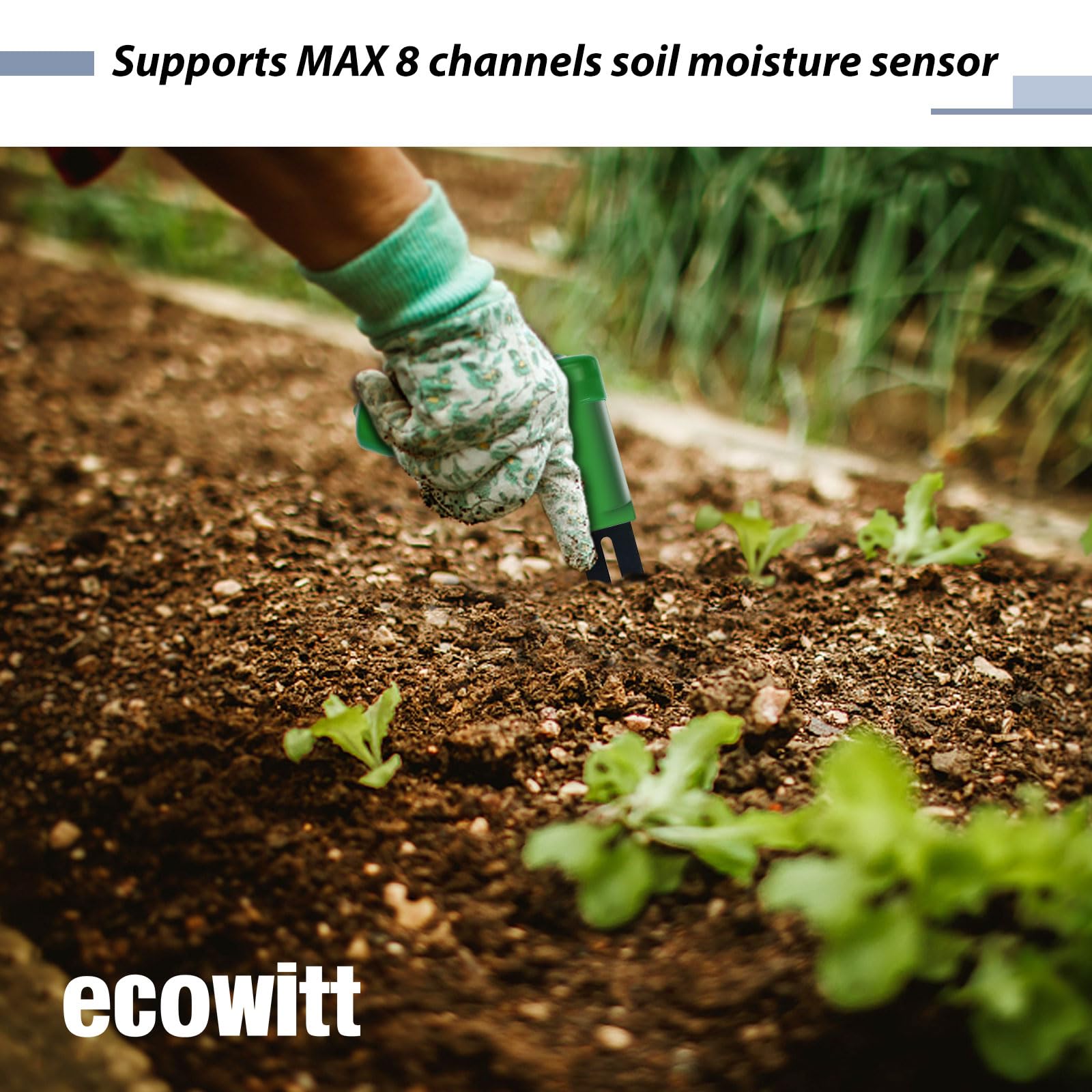 ECOWITT retail packaging and label showing model WH0291 and feature summary for buyers