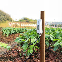 ECOWITT WH51L installed in a potted plant demonstrating accurate moisture measurement benefit.
