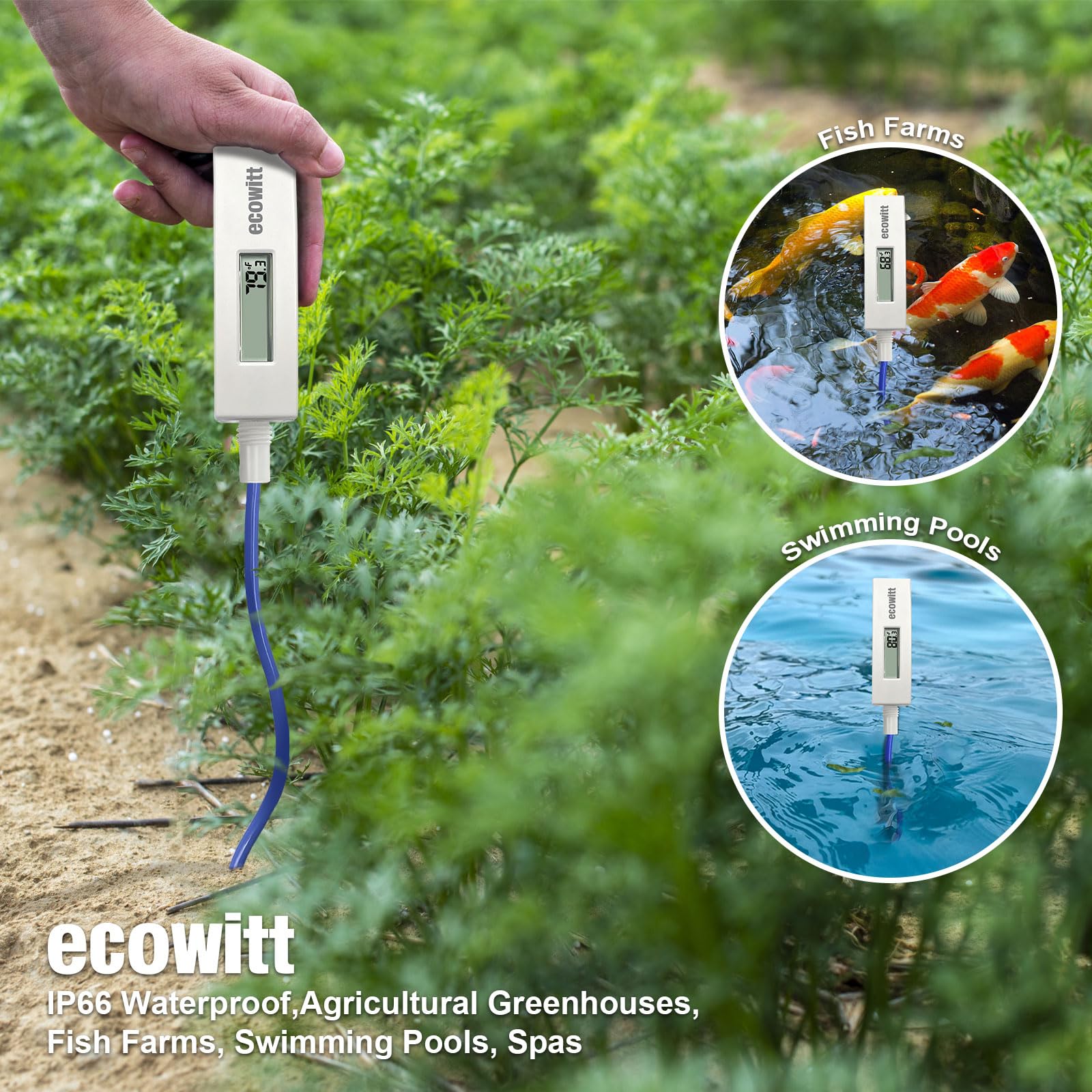 ECOWITT WN34BD LCD readout glowing for easy nighttime visibility