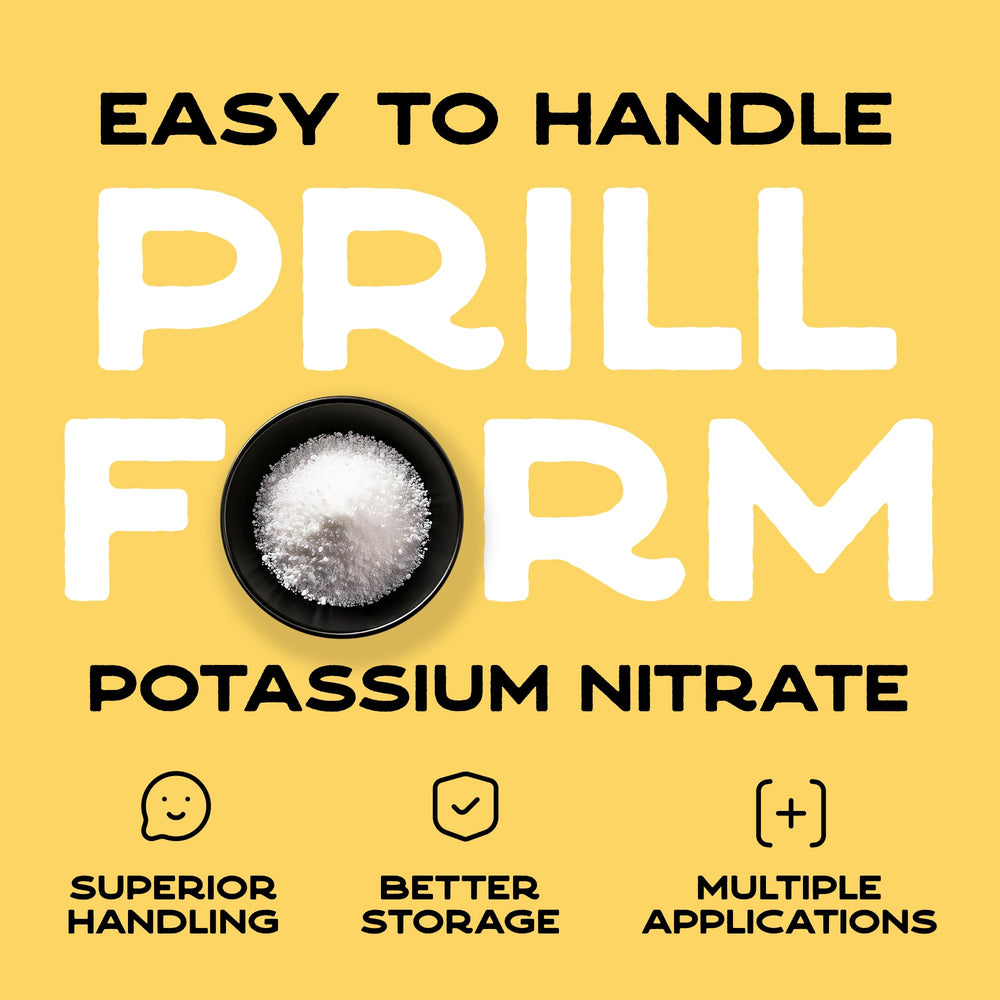 Ecoxall used in stump treatment drilled hole filled with pellets