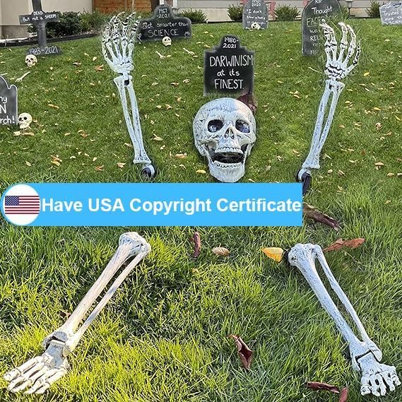 EddHomes skeleton next to a shoe for size comparison and scale clarity