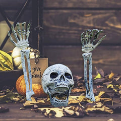 EddHomes skull close-up highlighting realistic cracks and creepy detail