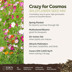 Eden Brothers close-up of mixed cosmos seeds highlighting seed quality and purity