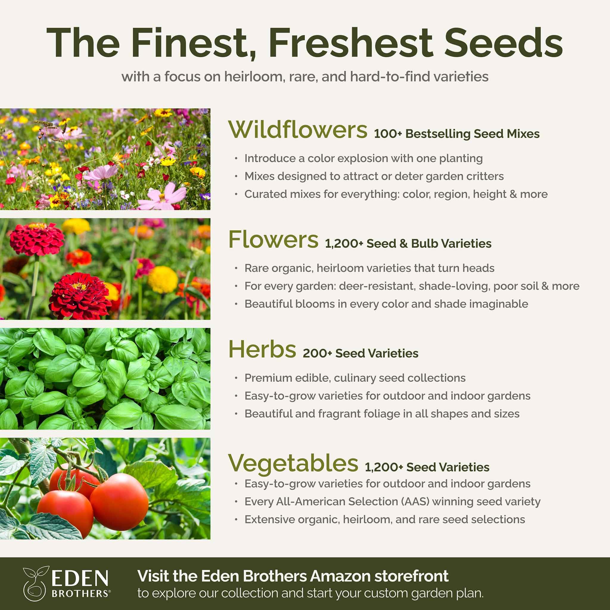 Eden Brothers cosmos blooms with bees demonstrating pollinator-friendly value