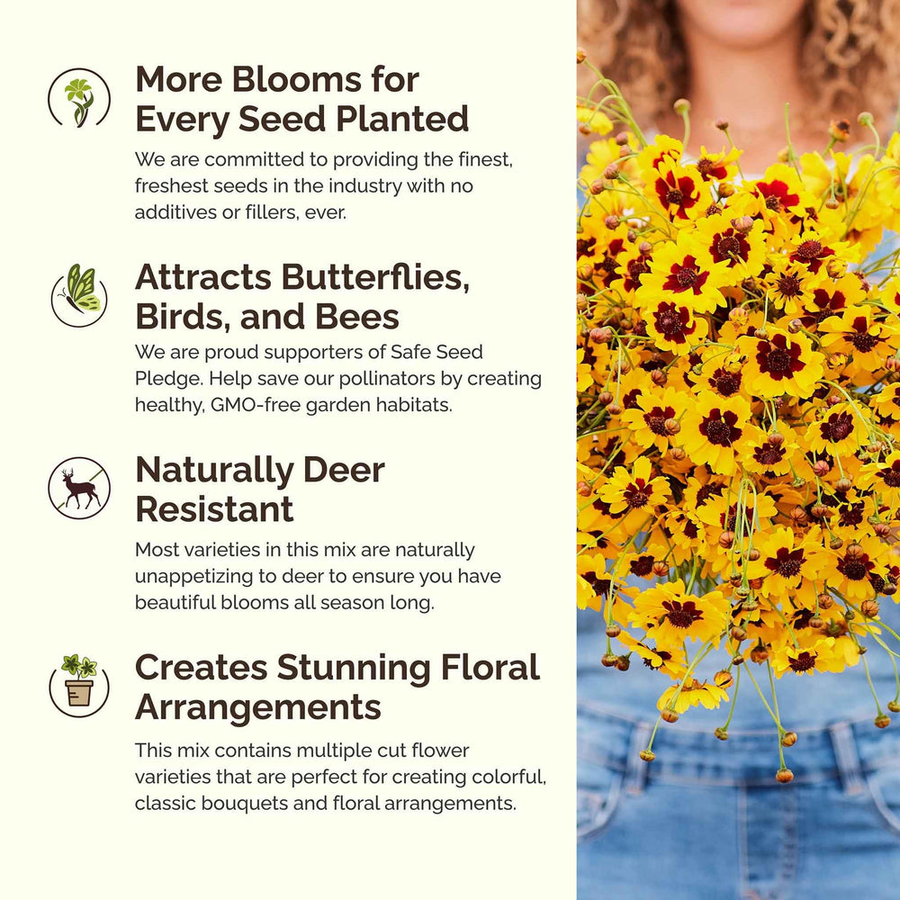 Eden Brothers flowers with bees showing attraction of pollinators and biodiversity