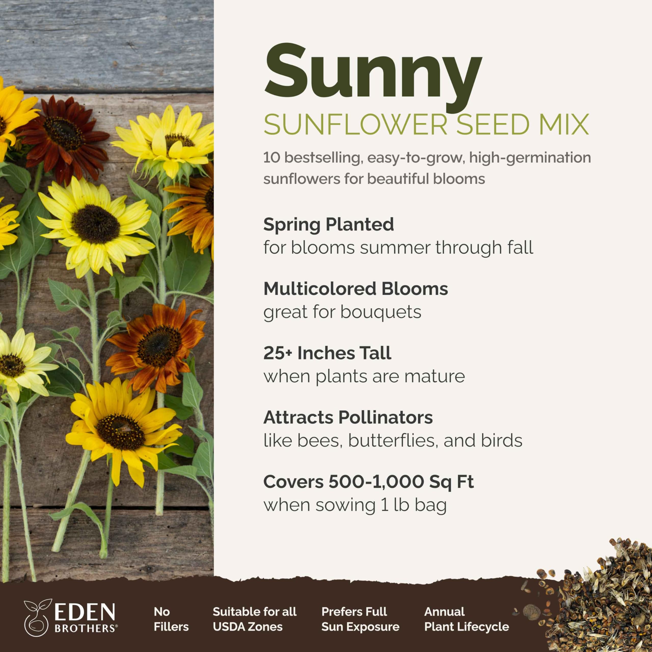 Eden Brothers close-up of mixed sunflower seeds, clear benefit: high-germination texture