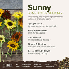Eden Brothers close-up of mixed sunflower seeds, clear benefit: high-germination texture