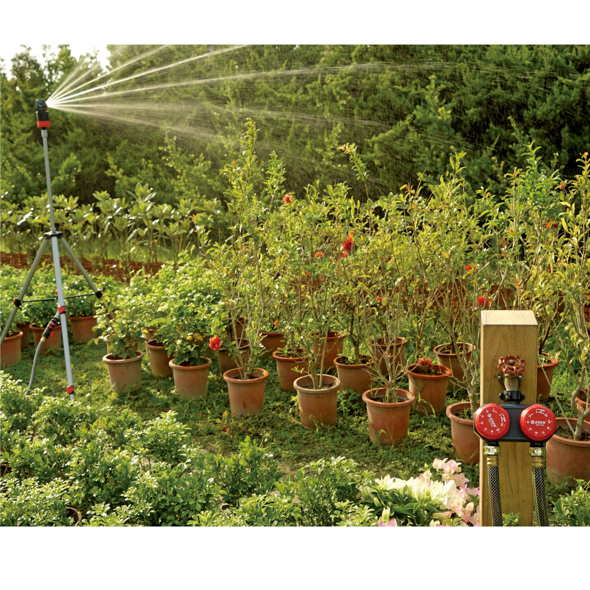 Eden in vegetable garden showing automated irrigation convenience