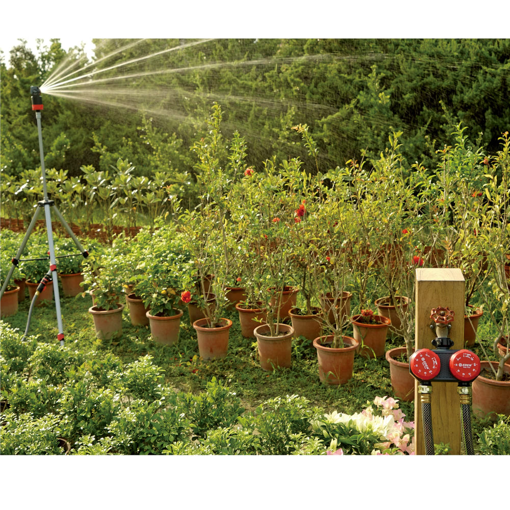 Eden in vegetable garden showing automated irrigation convenience