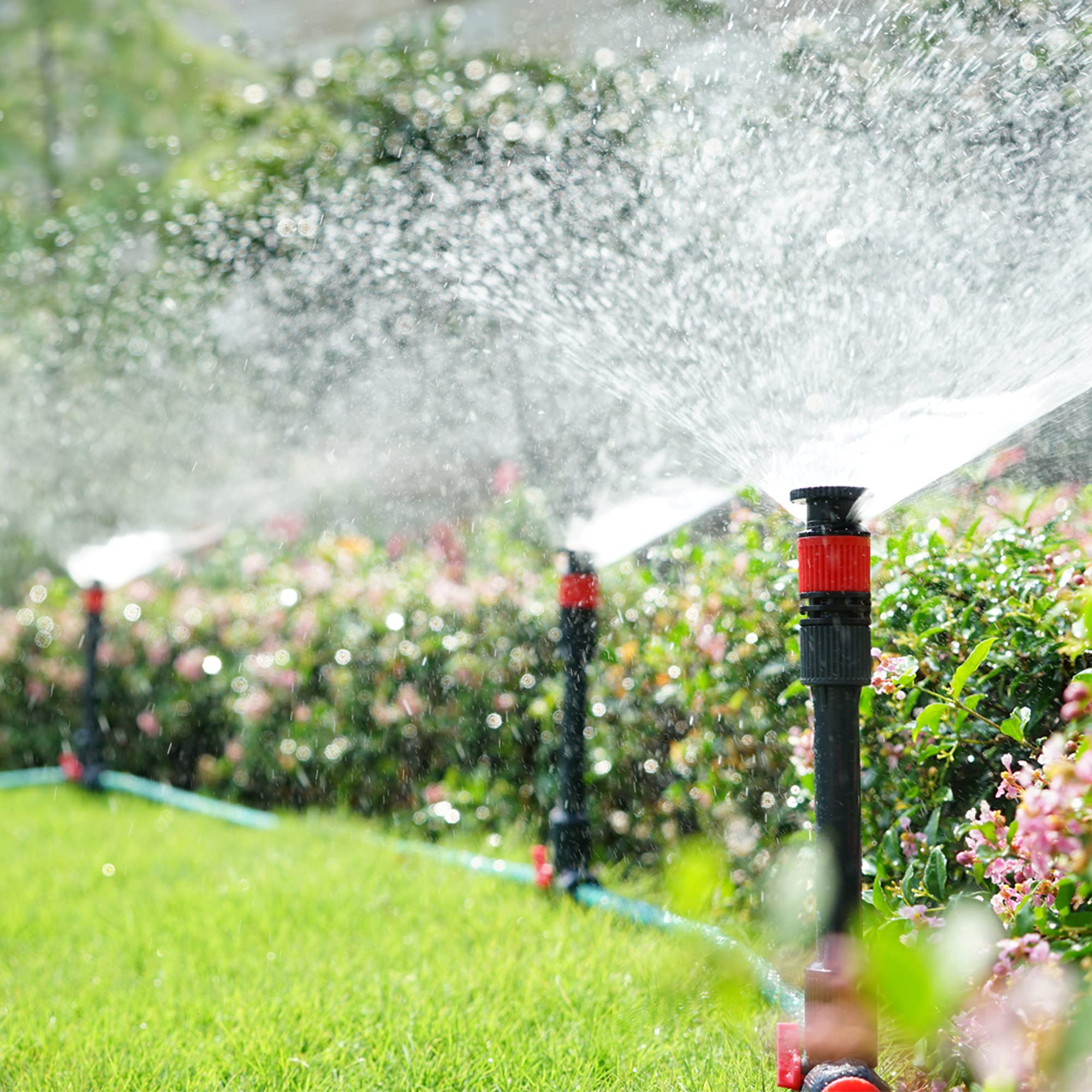Eden sprinkler spraying over vegetable bed ensuring even irrigation