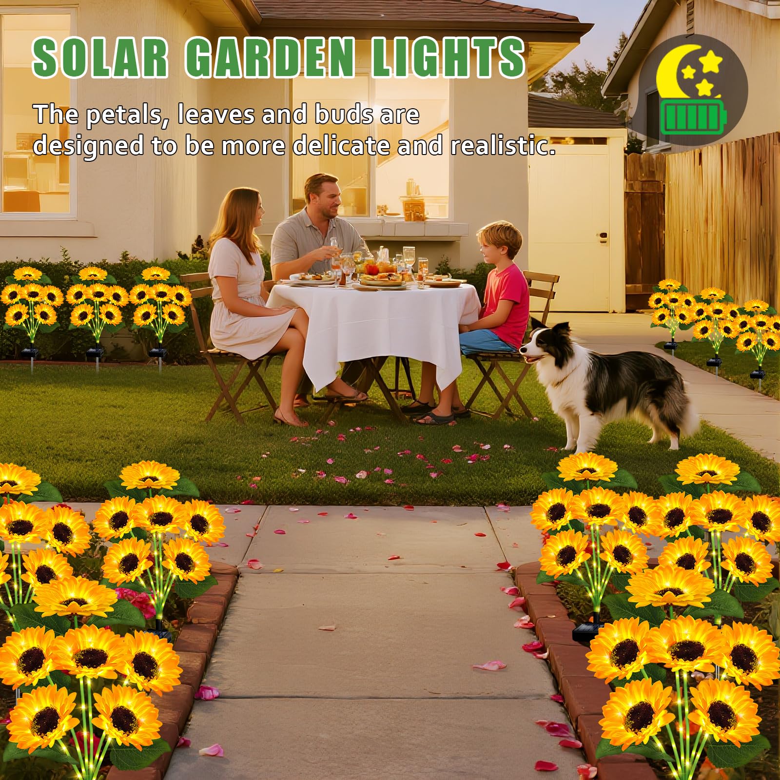 EDOF stake beside a ruler showing scale for placement and easy garden fit