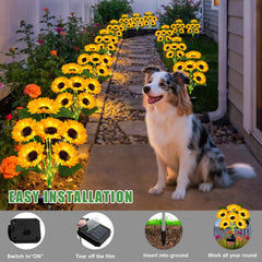 EDOF sunflower lights installed along a garden path creating inviting nighttime lighting