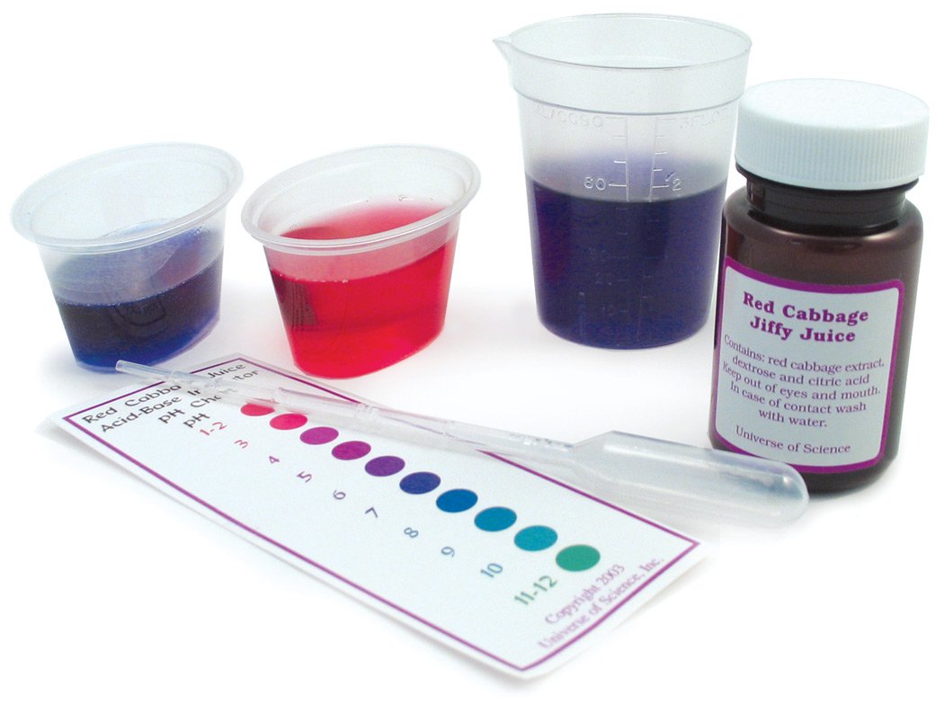 Educational Innovations red cabbage extract bottle front showing safe pH indicator