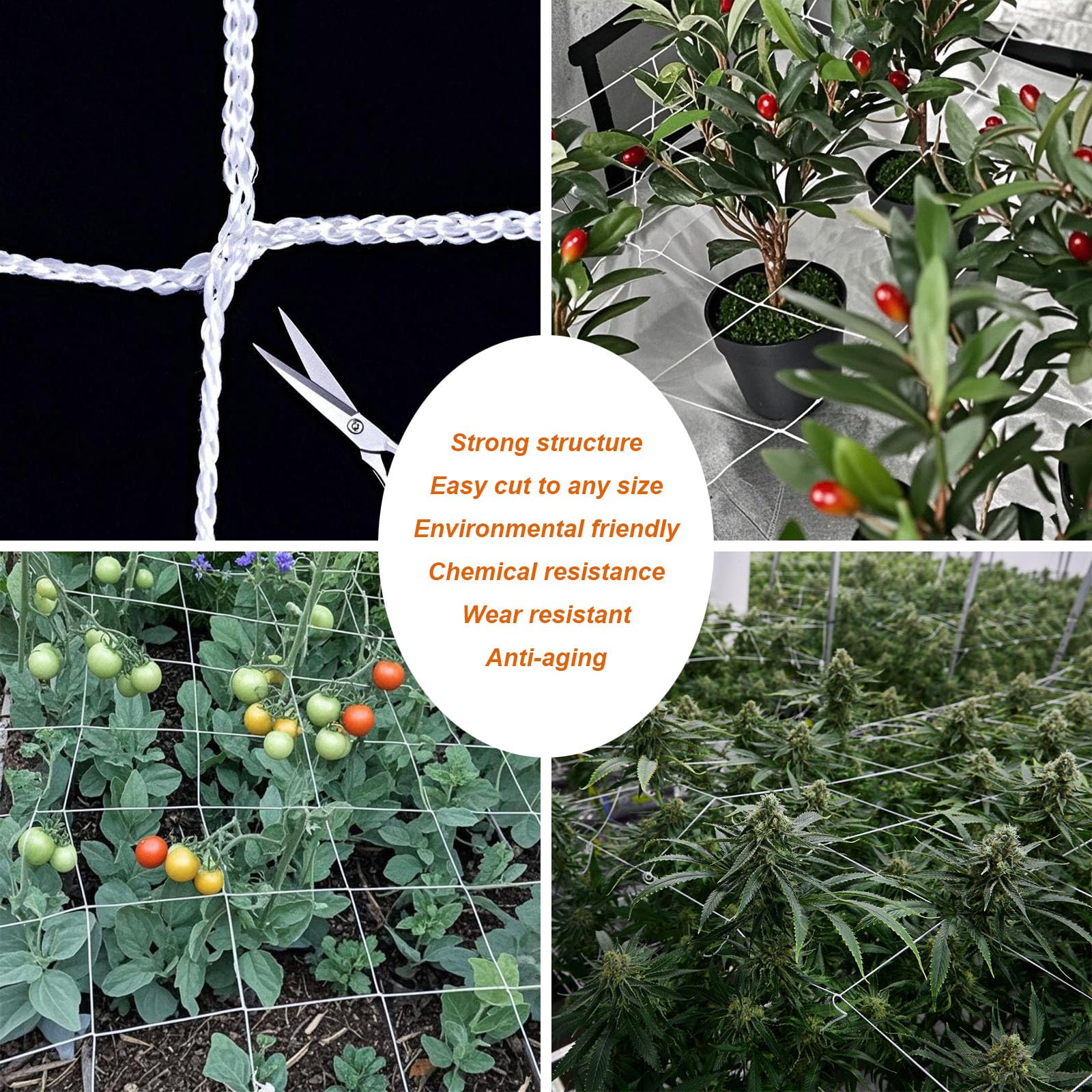 EDYCARX netting used in greenhouse demonstrating airflow and vertical growth