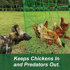 EFencSolv portable fence installed around chickens in backyard showing predator deterrence